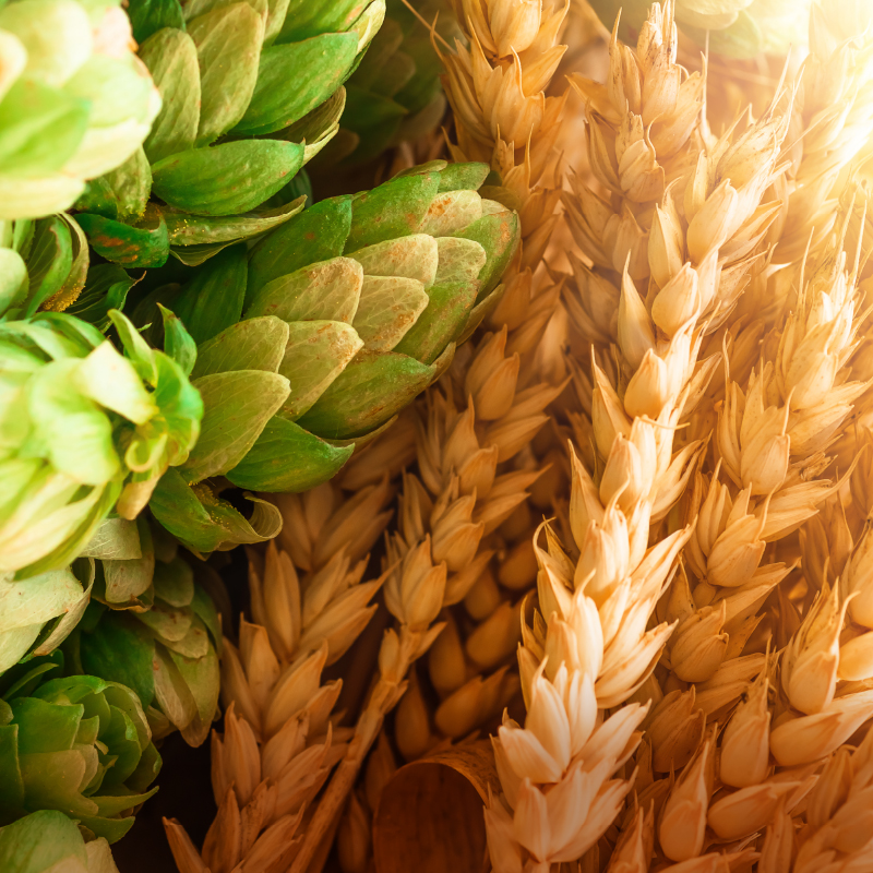 Grain Based Distilleries