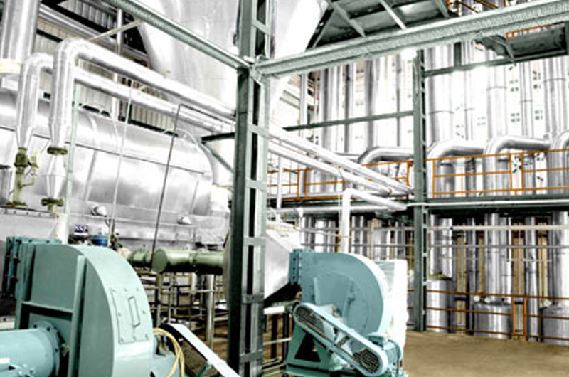 Liquid Milk Processing Plant