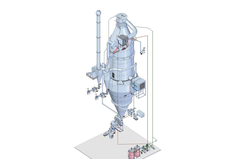 Chicory Powder Plant