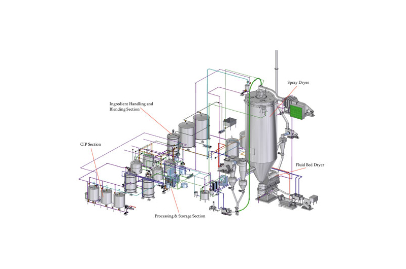 Coffee Creamer Plant