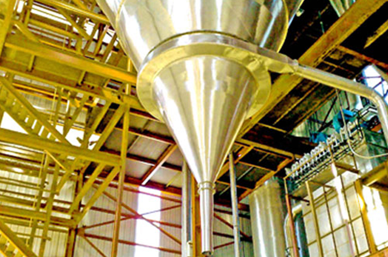 Instant Coffee Plant